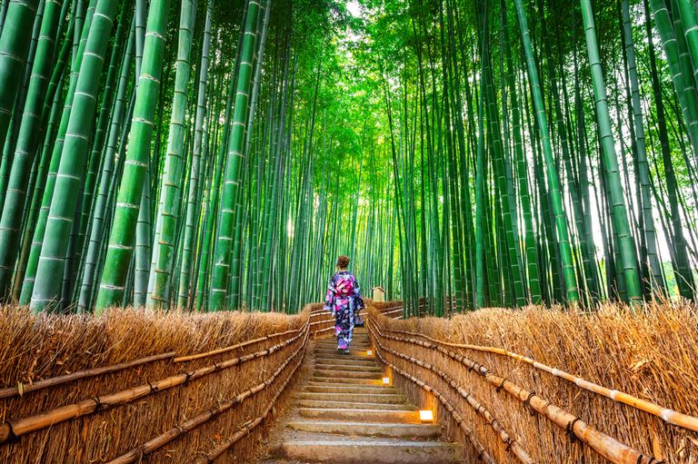 Japan und Südkorea entdecken  ©tawatchaiprakobkit/istock